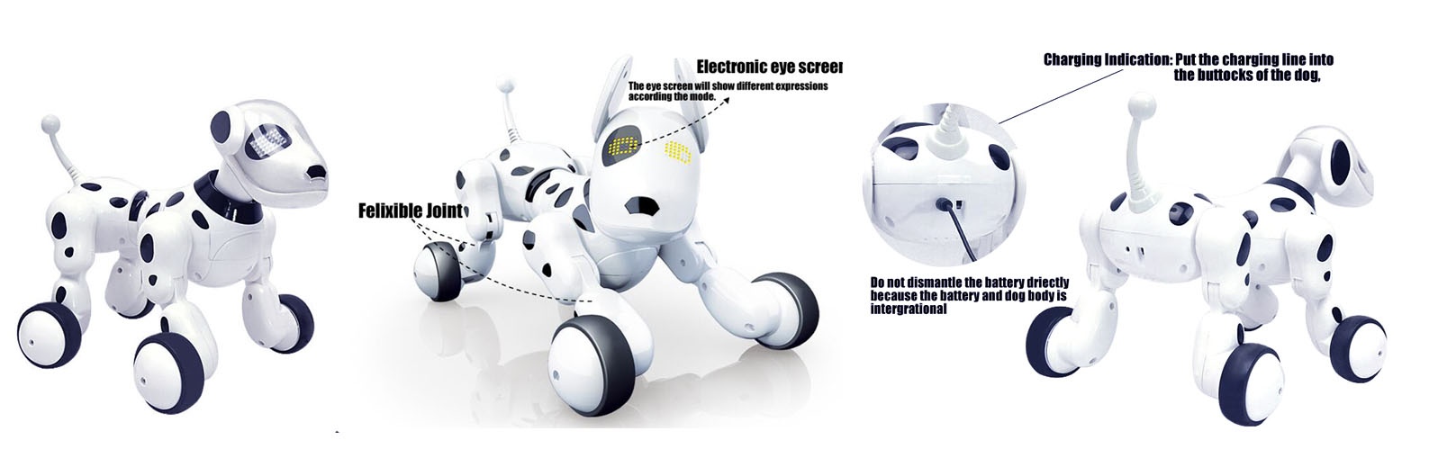 remote control dog remote control dog